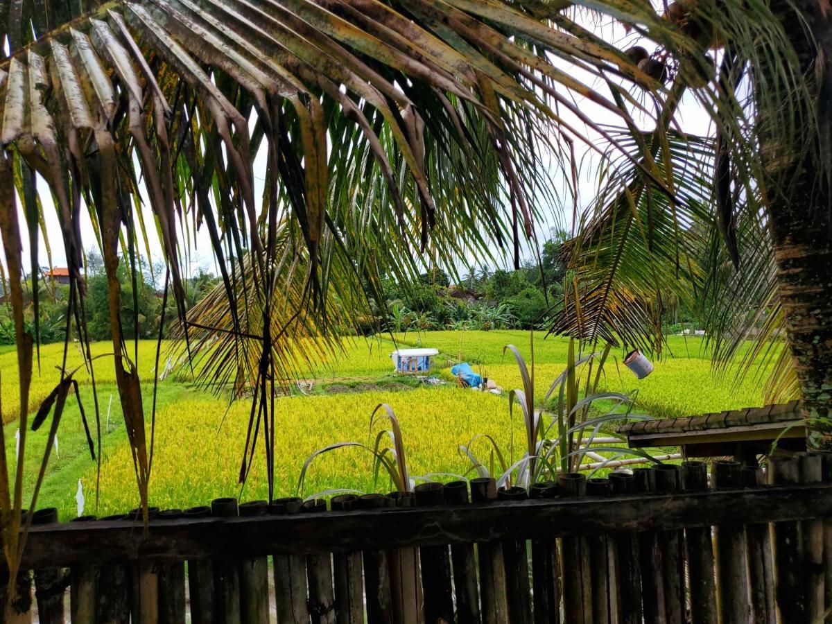 Kakau Villa 2 - Ubud Экстерьер фото